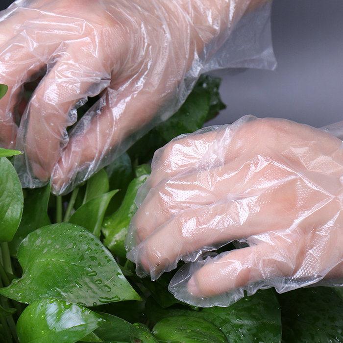 Clear Poly Disposable Gloves for Gas Stations