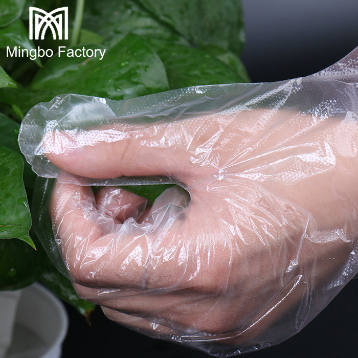 Disposable Transparent Kitchen Plastic Gloves