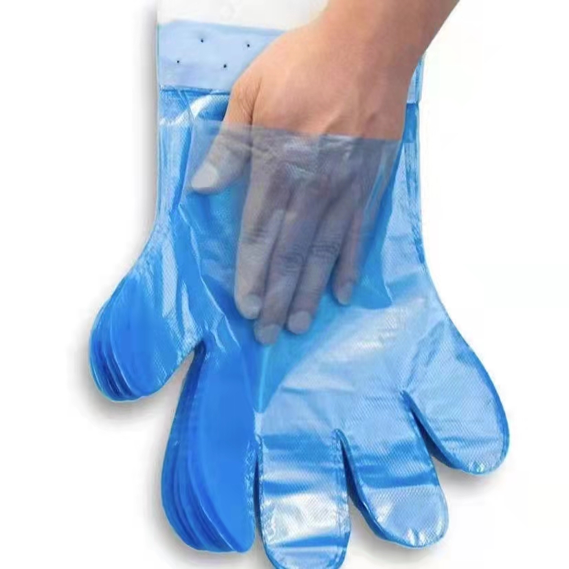 AB side HDPE Polythene Disposable Gloves