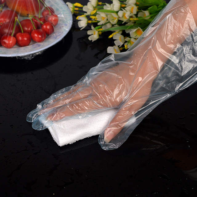 Disposable Food Grade Waterproof PE Gloves
