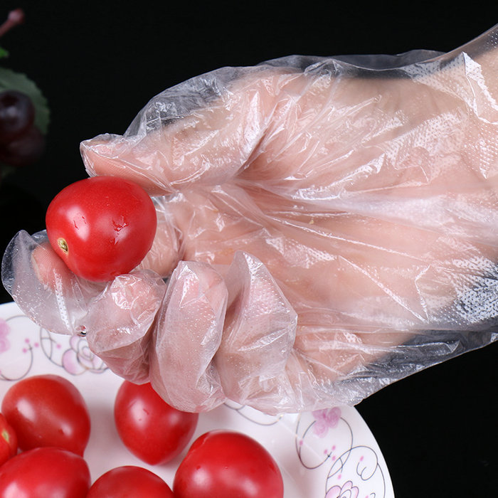 ISO 9001 Wholesale Food Grade Plastic Disposable Glove Powder Free