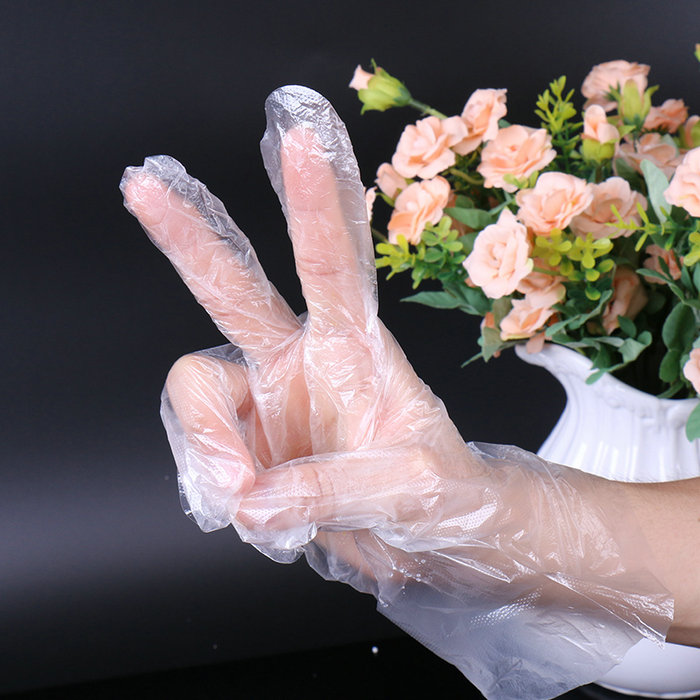  Food Safe Clear PE Disposable Gloves, Women Size