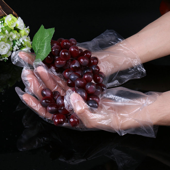 Disposable Food Grade HDPE/LDPE/CPE/TPE Plastic Gloves for Restaurant