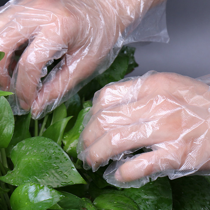 KFC McDonald's uses disposable food gloves