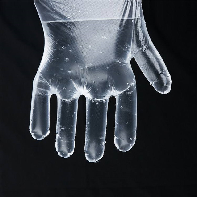 Clear Poly Disposable Gloves for Food