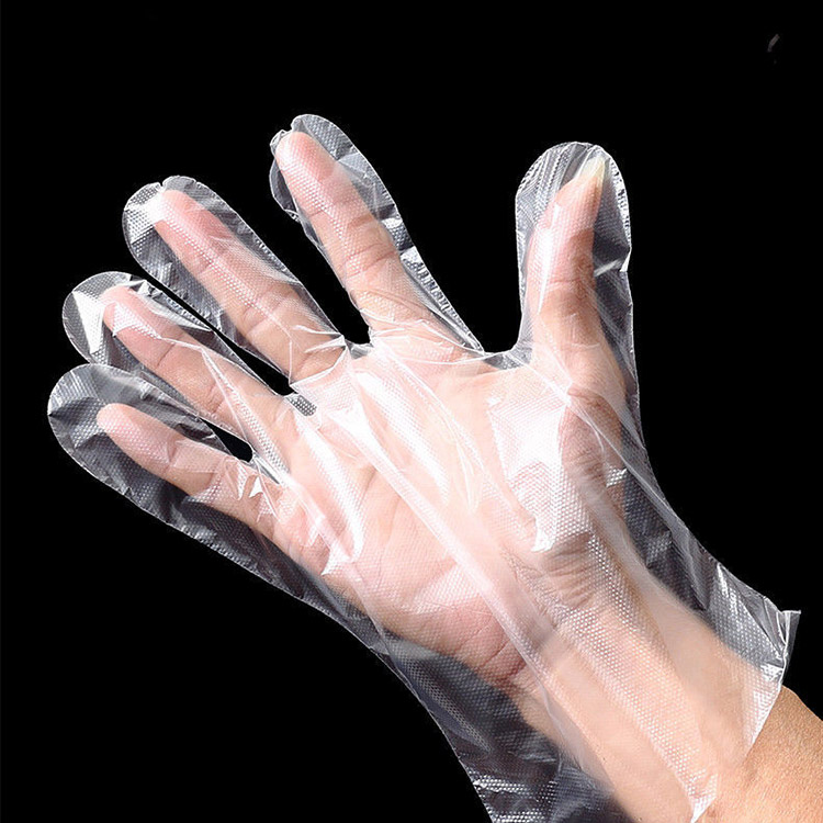 Disposable Food Grade Waterproof PE Gloves